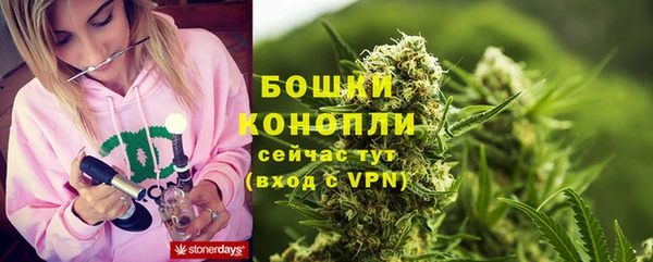 трава Абаза
