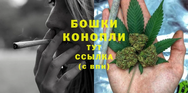 трава Абаза